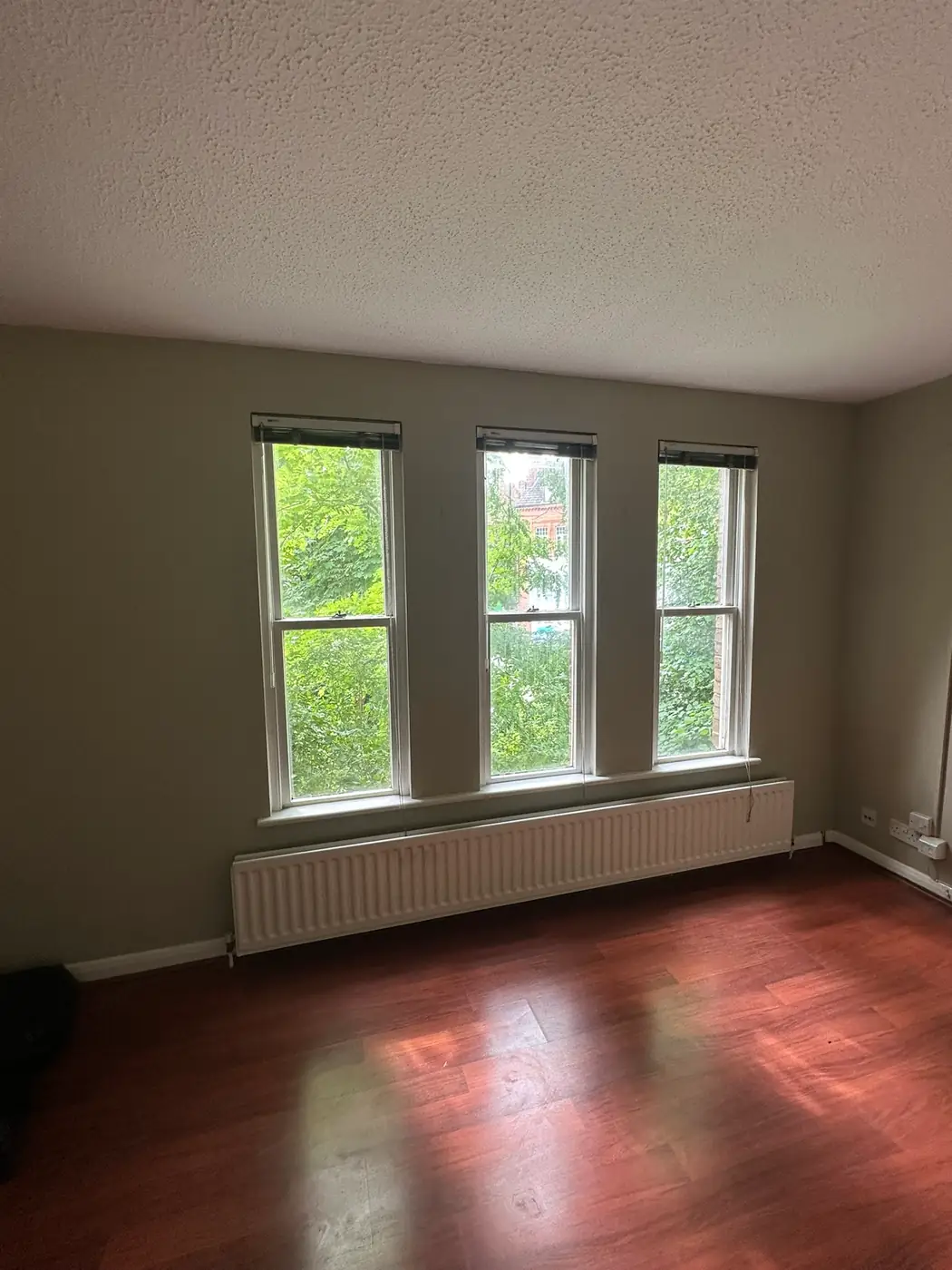 Living room with dull sage green walls and a textured ceiling before redecoration in a Brockley flat