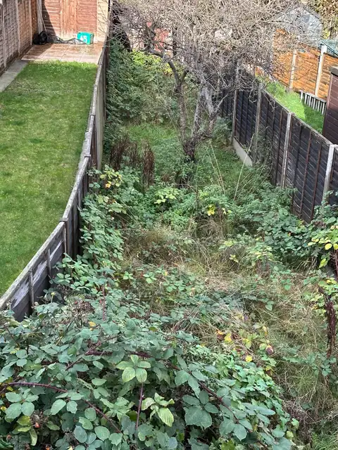 A long, narrow rear garden heavily overgrown with brambles and weeds between timber fences in Blendon, Sidcup