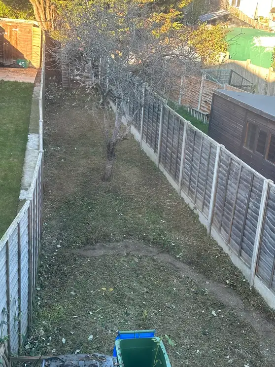 The same Sidcup rear garden cleared back to bare ground, with the fruit tree kept