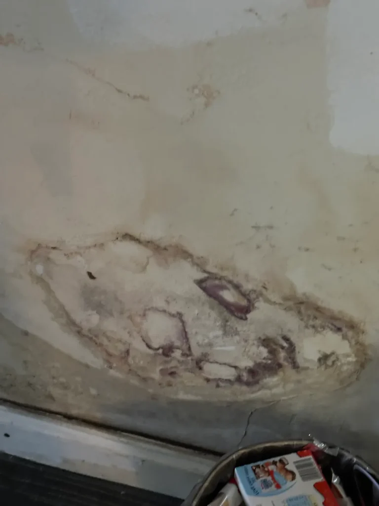Inside, plaster blown by water coming in, Wealdstone