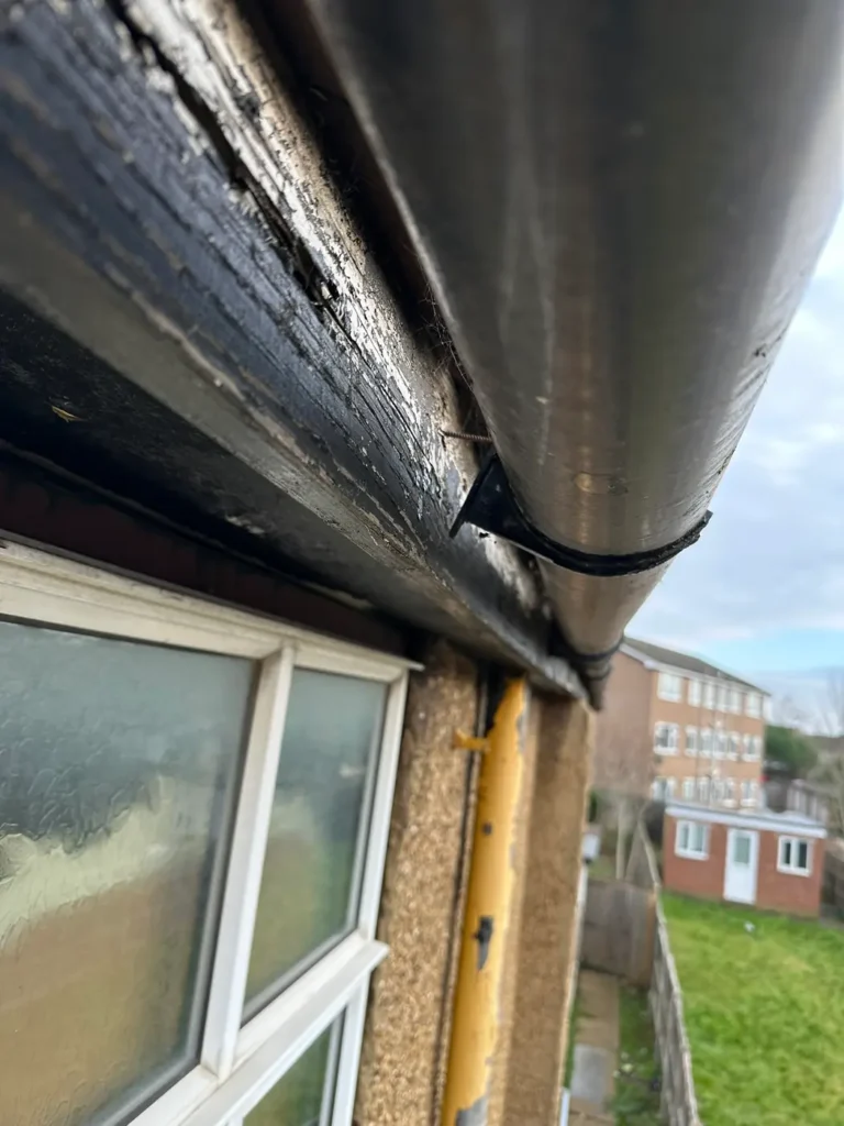 The gutter line at the edge of the flat roof, Wealdstone