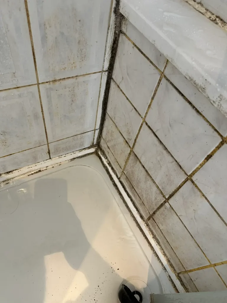 Mould in the shower corner before the work, Wembley Hill, Wembley