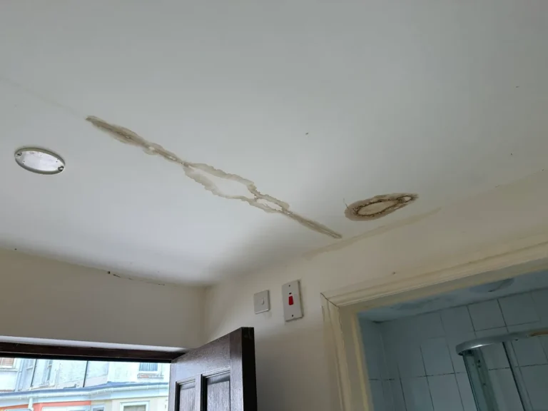 A cracked, stained ceiling inside, below the roof, Wembley Central